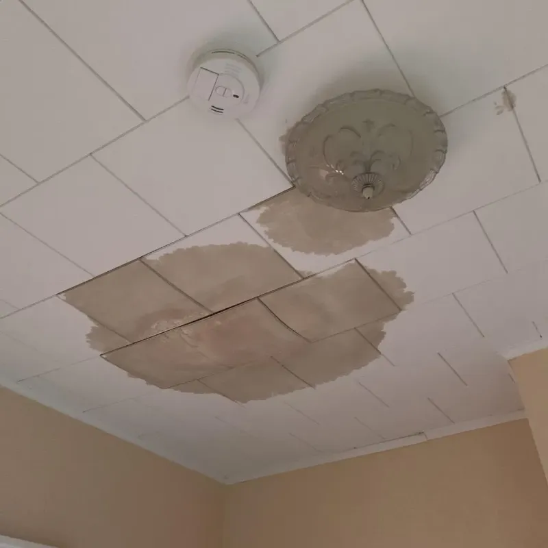Ceiling Water Damage Repair in Trainer, PA