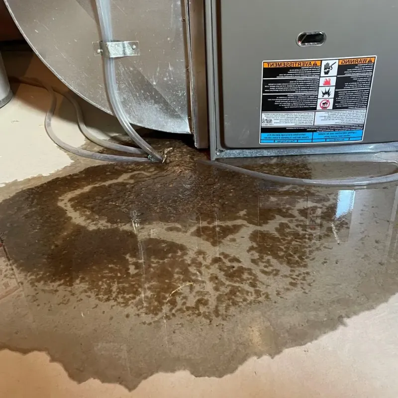 Pipe Burst and Leak Restoration in Trainer, PA