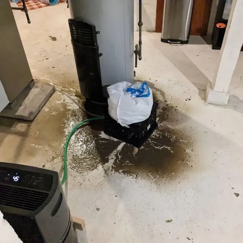 Sewage Backup Cleanup Service in Trainer, PA